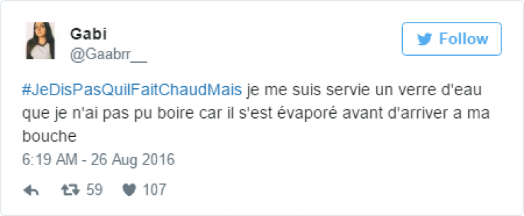 Illustration de l'article : #JeDisPAsQuilFaitChaudMais: 35 tweets tordants autour de ce hashtag caniculaire...