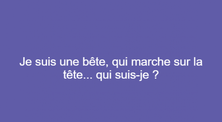 Illustration de l'article : 12 devinettes qui vous donneront certainement du fil &agrave; retordre !