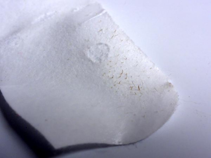 Illustration de l'article : En majorité, toutes les filles font ces 17 trucs mais elles ne l'avoueront jamais...