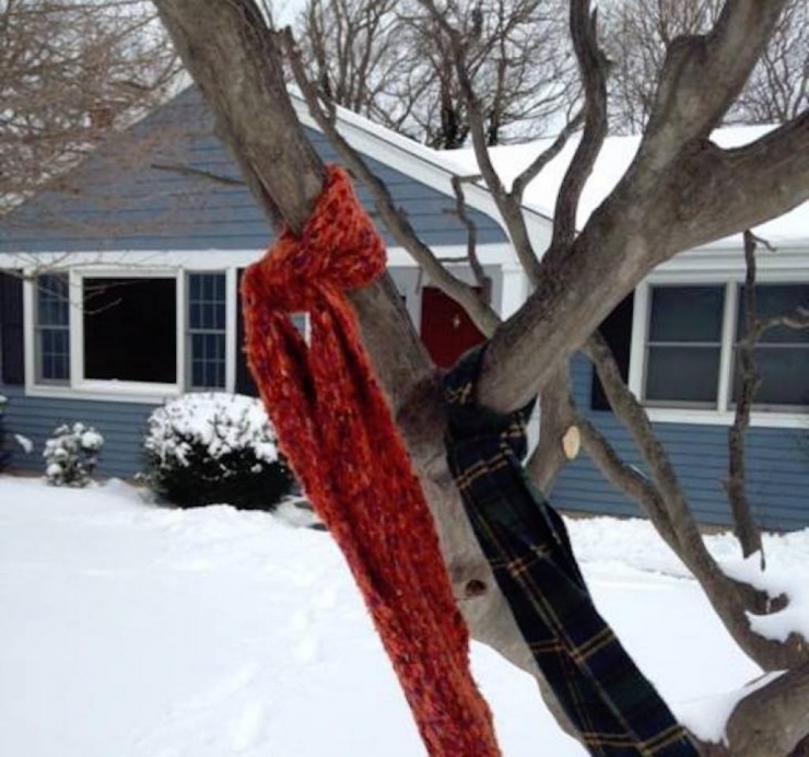 Illustration de l'article : Voici ce que ça signifie si vous tombez sur des écharpes accrochées à des poteaux...