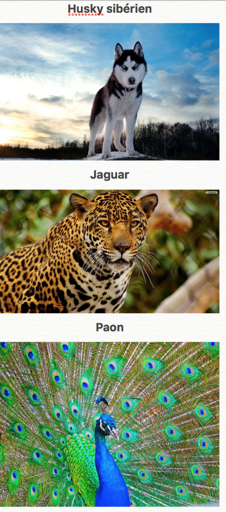 Illustration de l'article : 44 des plus beaux animaux sur terre... La nature fait bien les choses !