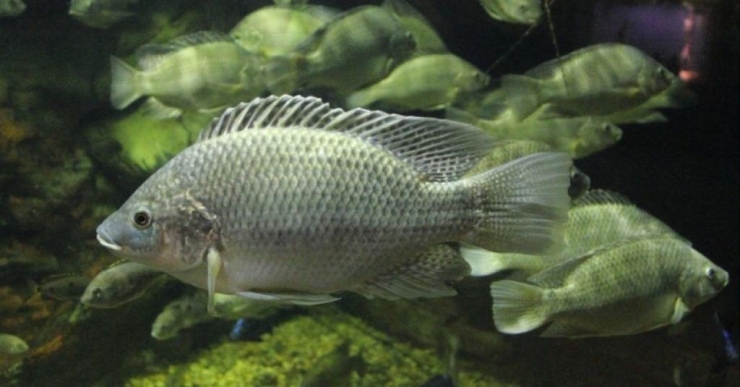 Illustration de l'article : Après avoir vécu ce brûlant cauchemar, c'est la première à recevoir ce traitement dans le monde!