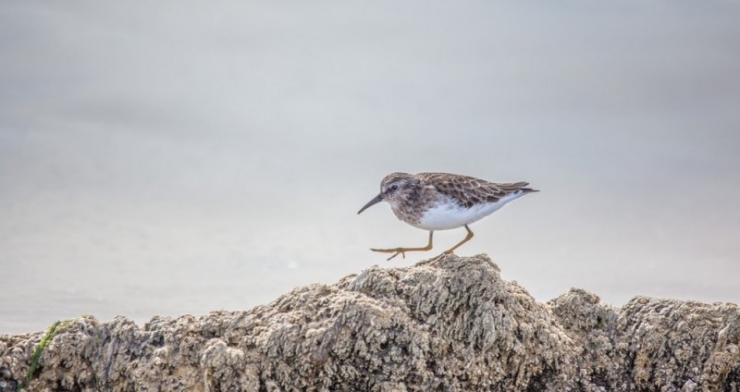 Illustration de l'article : Endeuillée, elle hurle sur une fillette de 6 ans et le regrette quand elle reçoit cette lettre, 4 semaines plus tard...