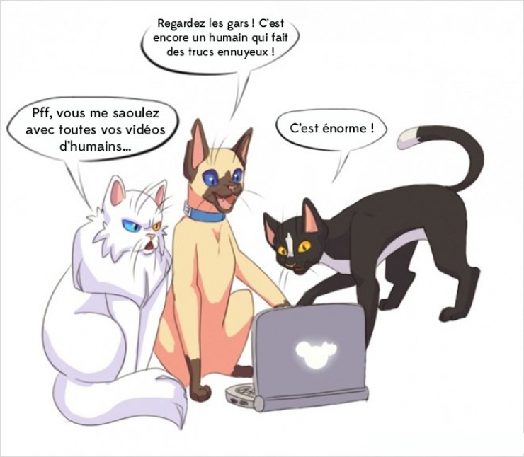 Illustration de l'article : Ces 20 dessins très drôles nous rappellent qu’on vit dans un monde qui tourne à l’envers… La 5 est top !