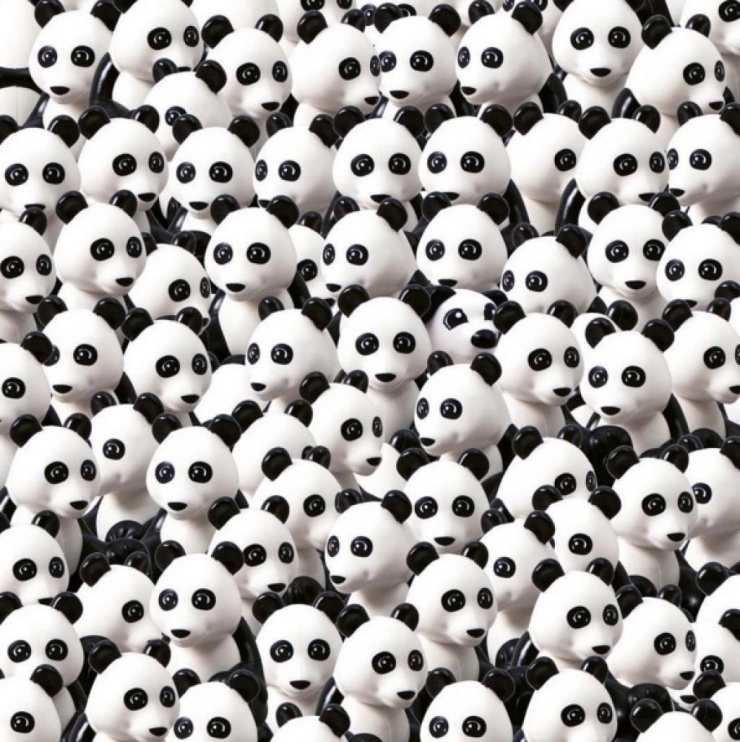 Illustration de l'article : Il m’a fallu plus de 30 secondes pour trouver le chien caché au milieu de ces pandas. Et vous ?