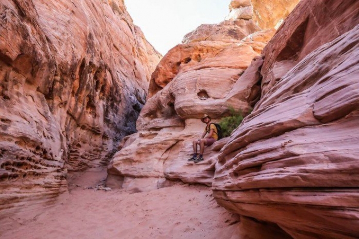 Illustration de l'article : Un van et 8 euros par jour… Il n’en fallait pas plus à ce couple pour démarrer un tour du monde !