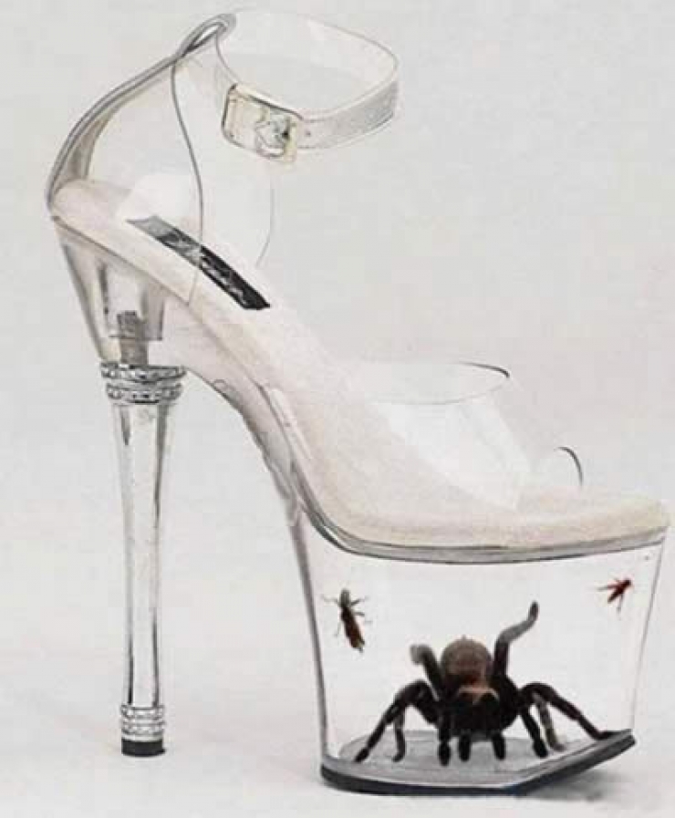 Illustration de l'article : Un simple coup d’oeil sur ces 20 chaussures, et vous aurez instantanément mal aux pieds...