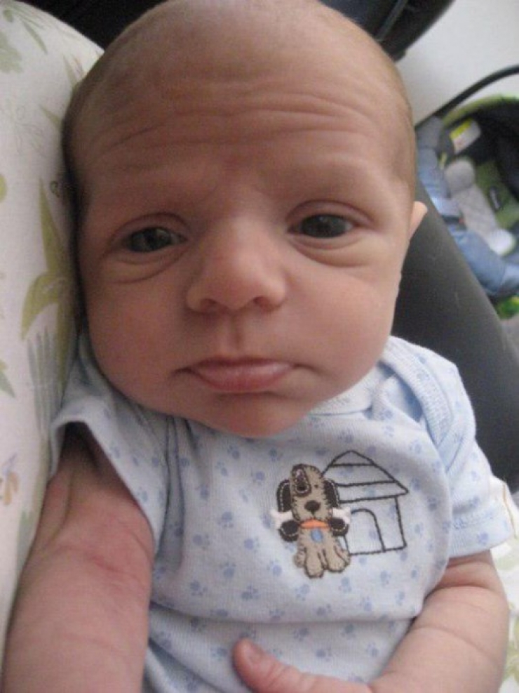 Top 15 Des Bebes Qui Ont L Apparence D Une Personne Adulte C Est Flippant