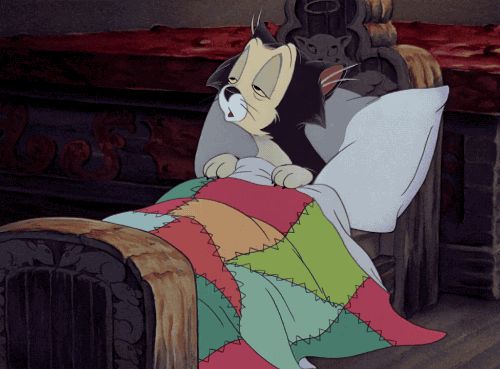 Illustration de l'article : 22 choses que seules les personnes qui aiment dormir pourront comprendre… La 3 est tellement vraie !