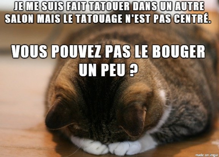 Illustration de l'article : Top 13 des questions les plus débiles entendues dans un salon de tatouage !