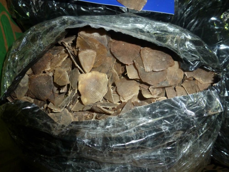 Illustration de l'article : Top 12 des saisies les plus hallucinantes faites par des douaniers français ! La 6 est trop étrange...