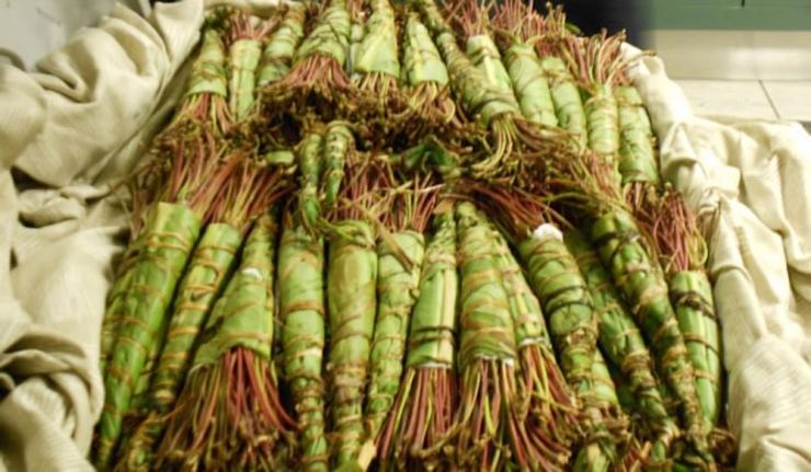 Illustration de l'article : Top 12 des saisies les plus hallucinantes faites par des douaniers français ! La 6 est trop étrange...