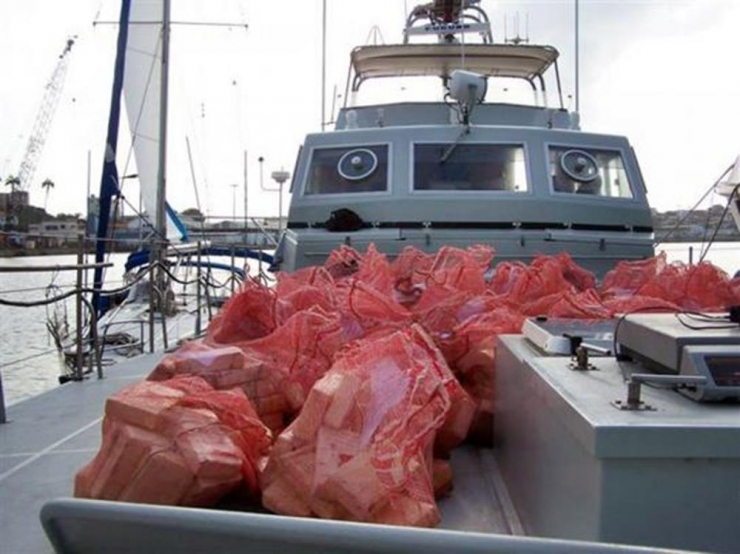 Illustration de l'article : Top 12 des saisies les plus hallucinantes faites par des douaniers français ! La 6 est trop étrange...