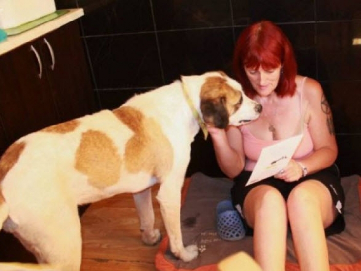 Illustration de l'article : Ce pauvre chien serait mort sans l’aide de ce couple. Sa transformation est incroyable !