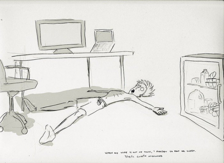 Illustration de l'article : Pendant 1 an, il dessine chaque jour passé avec sa femme… Une vie de couple illustrée avec passion !