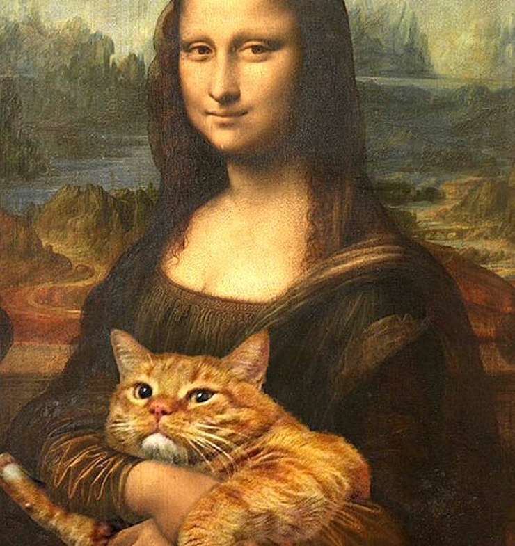 Illustration de l'article : Ces 16 raisons prouvent que les gros chats sont les meilleurs des compagnons...