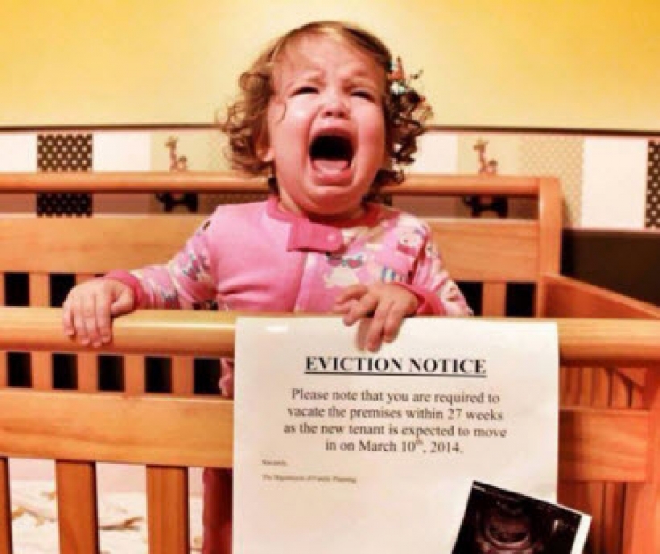 Illustration de l'article : 16 idées de photos originales pour annoncer une grossesse...