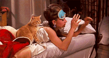 Illustration de l'article : 20 situations que seuls les couche-tard pourront comprendre…La 3 est tellement vraie !