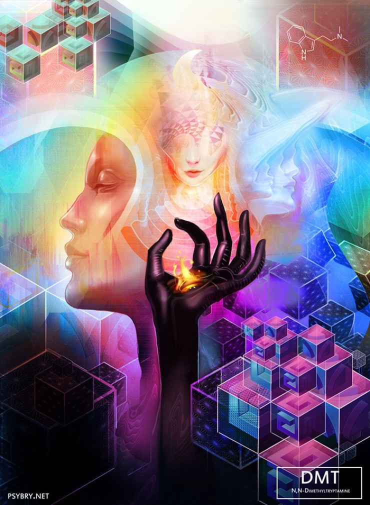 Illustration de l'article : Pendant 20 jours, cet artiste prend une drogue différente chaque matin et il laisse parler les effets de chacune d’entre elles via ses dessins !