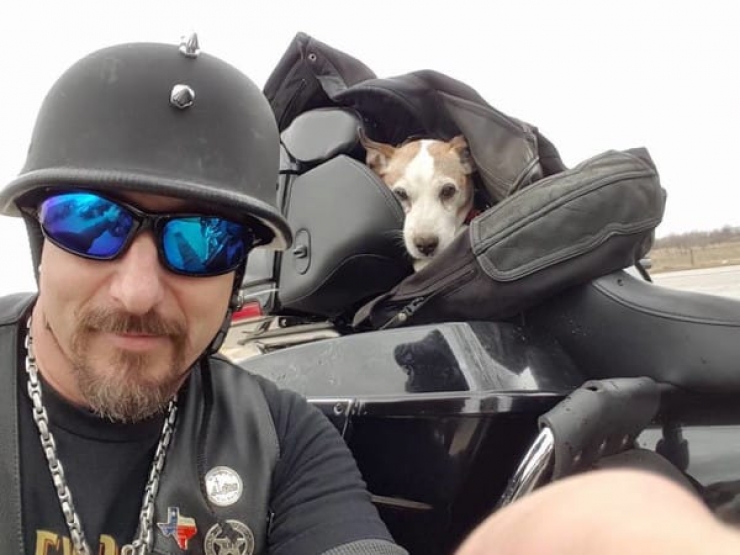 Illustration de l'article : Un fou frappe son chien sur le bord d'une route... Voici ce qu'un motard a fait !