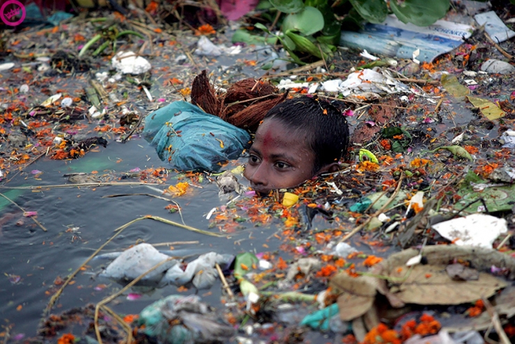 Illustration de l'article : Ces 22 photos devraient sensibiliser tout le monde sur l’environnement… Les choses doivent changer !