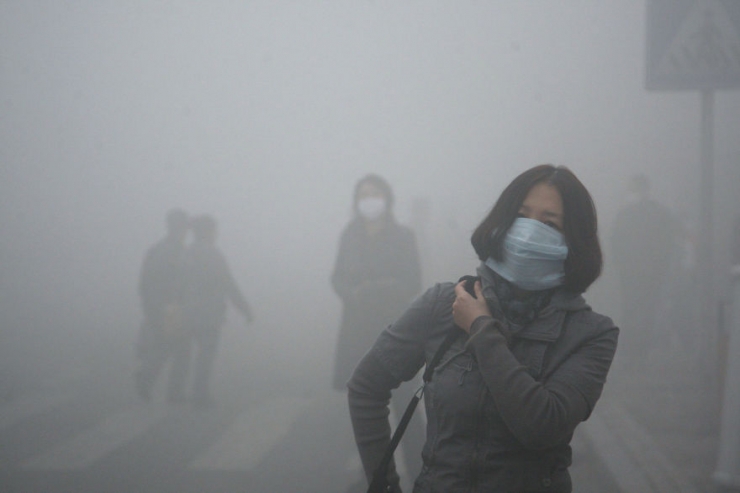 Illustration de l'article : Ces 22 photos devraient sensibiliser tout le monde sur l’environnement… Les choses doivent changer !