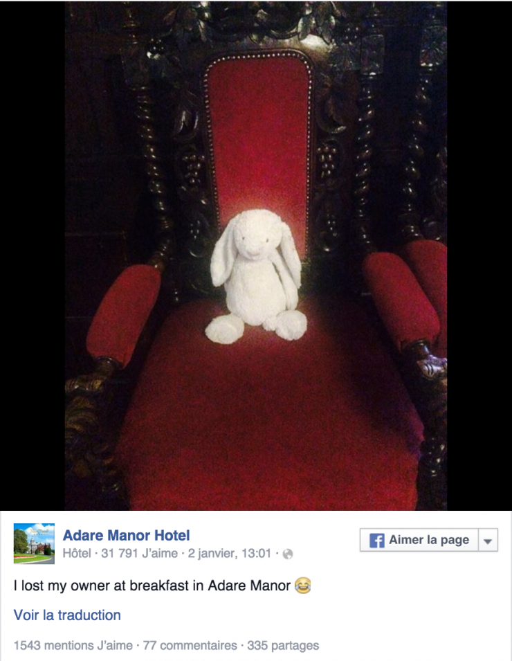 Illustration de l'article : Cet hôtel aurait pu se contenter de rendre ce doudou à sa propriétaire mais il a été bien plus loin… C’est adorable !