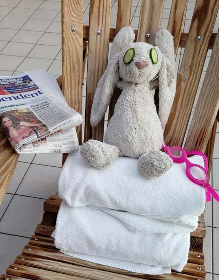 Illustration de l'article : Cet hôtel aurait pu se contenter de rendre ce doudou à sa propriétaire mais il a été bien plus loin… C’est adorable !