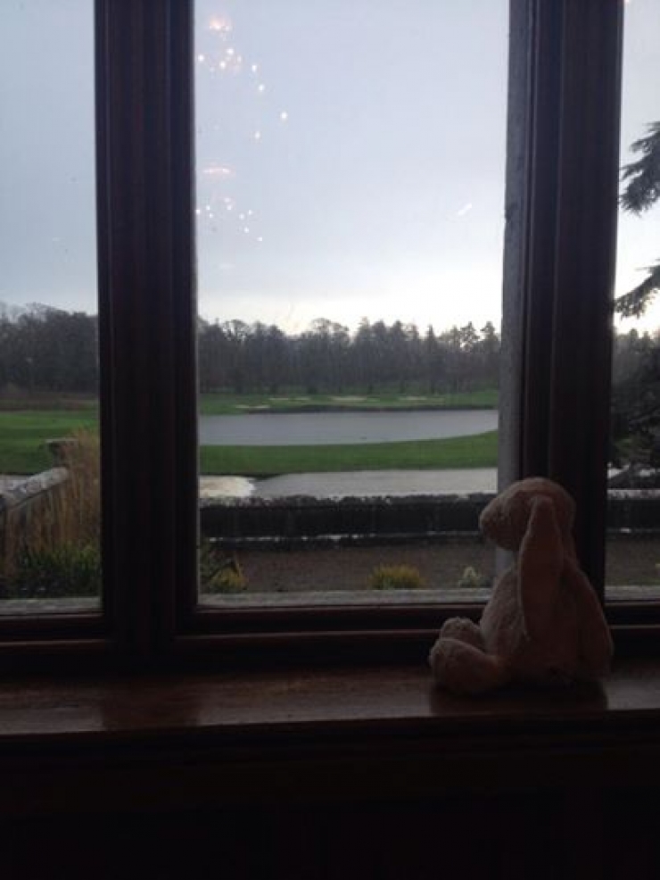 Illustration de l'article : Cet hôtel aurait pu se contenter de rendre ce doudou à sa propriétaire mais il a été bien plus loin… C’est adorable !