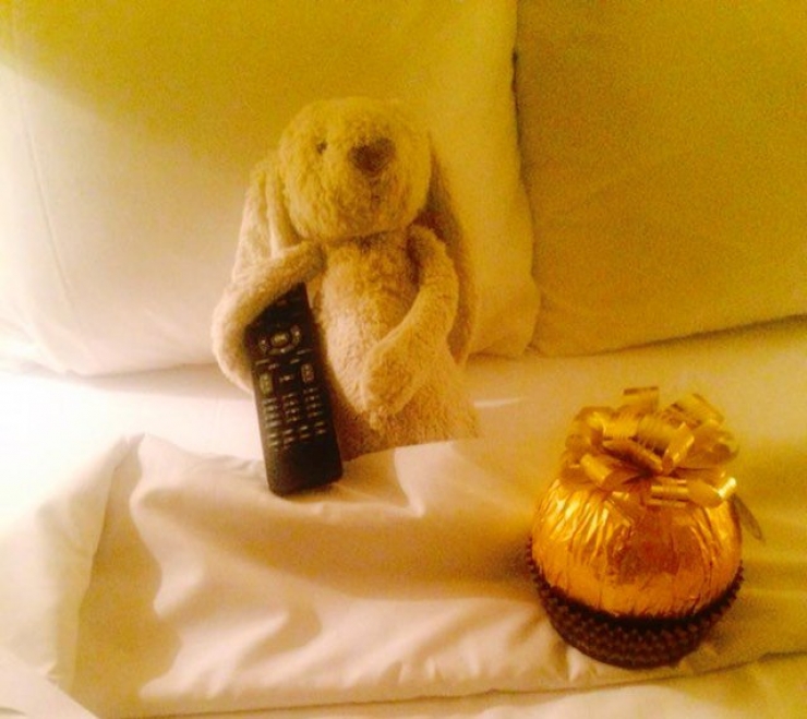 Illustration de l'article : Cet hôtel aurait pu se contenter de rendre ce doudou à sa propriétaire mais il a été bien plus loin… C’est adorable !