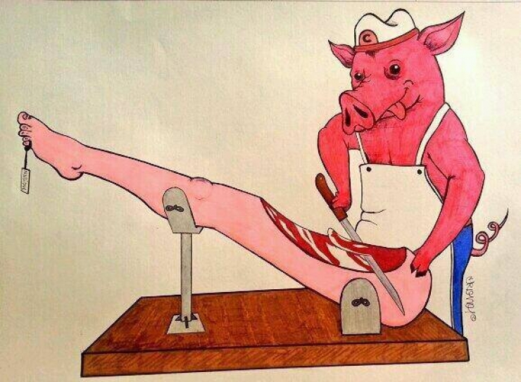 Illustration de l'article : Et si les animaux se comportaient comme des hommes... Inversons les rôles !