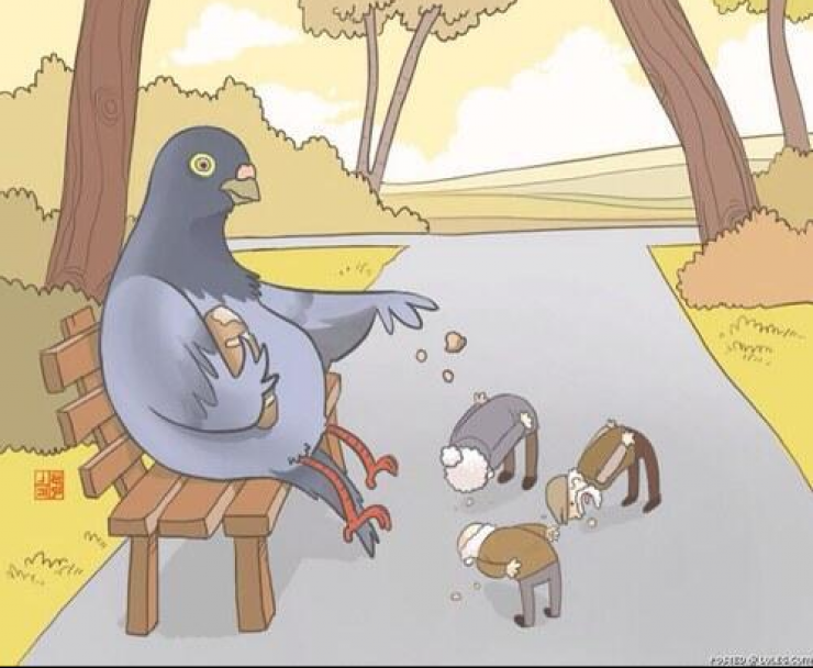 Illustration de l'article : Et si les animaux se comportaient comme des hommes... Inversons les rôles !