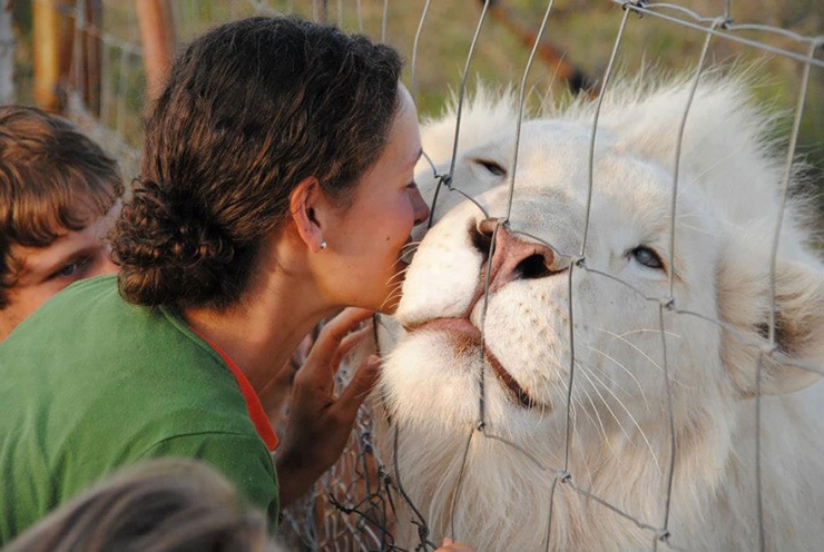 Illustration de l'article : 25 animaux atteints d'albinisme : quand la nature sauvage se pare de blanc
