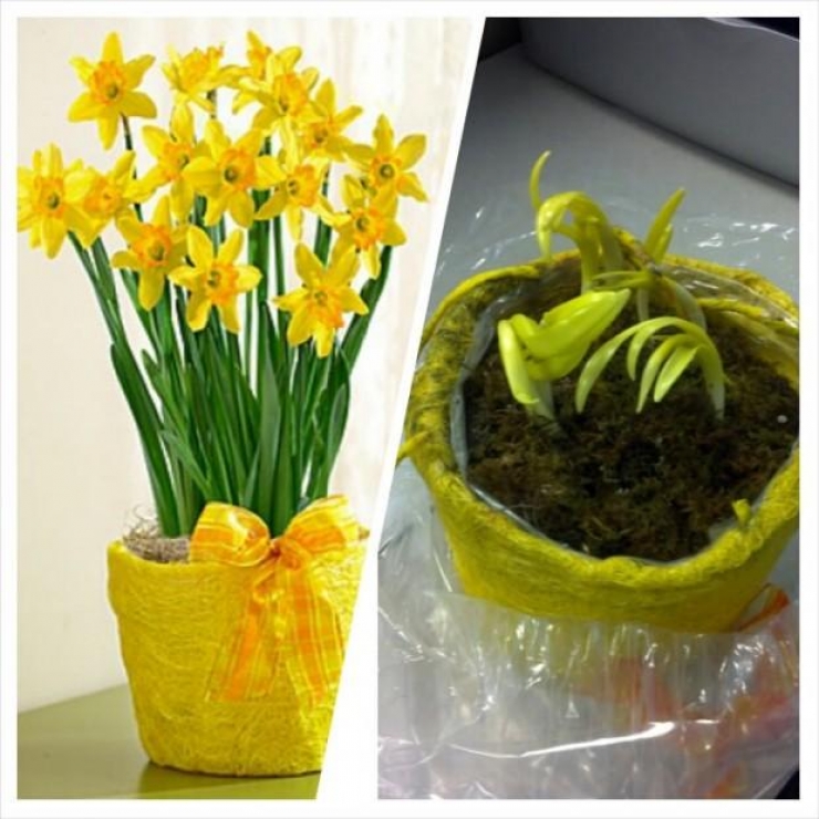 Illustration de l'article : Top 17 des produits qui ressemblent &agrave; tout sauf &agrave; ce qu'on souhaite acheter ! Publicit&eacute; mensong&egrave;re ?