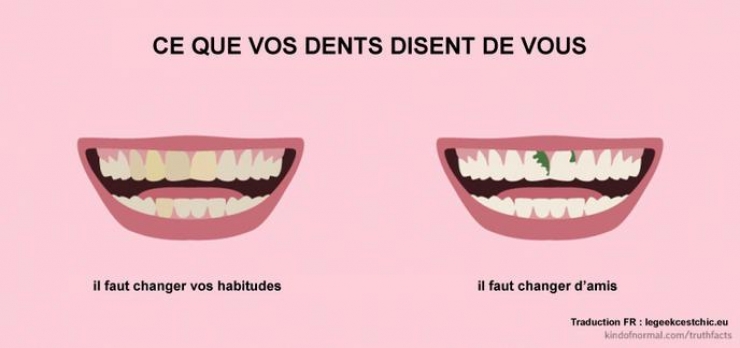 Illustration de l'article : 39 illustrations qui reflètent parfaitement notre quotidien ! Plutôt réaliste non ?