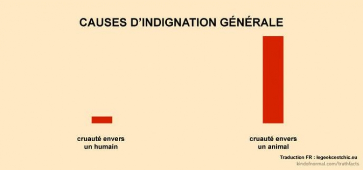 Illustration de l'article : 39 illustrations qui reflètent parfaitement notre quotidien ! Plutôt réaliste non ?
