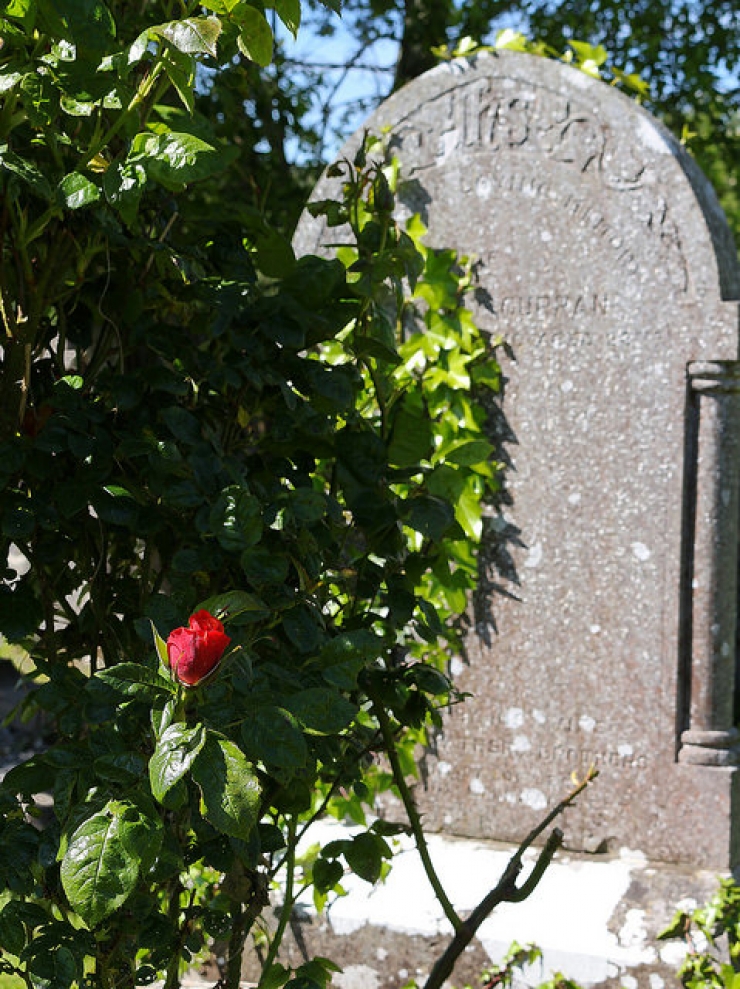 Illustration de l'article : Il a entendu la voix de son père décédé pendant 77 ans ! Aujourd'hui il est mourant et reçoit ce dernier message.