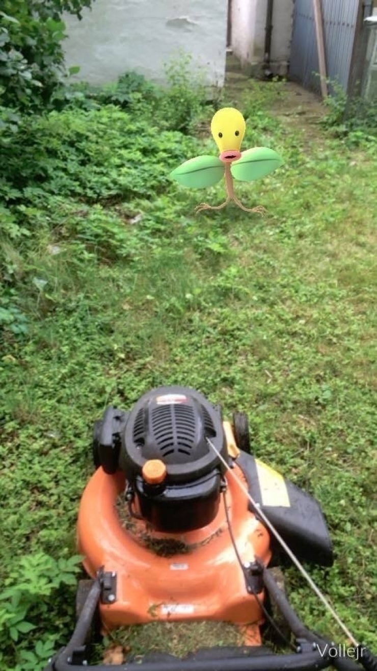 Illustration de l'article : Top 25 des captures d&rsquo;&eacute;cran de Pok&eacute;mon Go capt&eacute;es au meilleur moment ! 