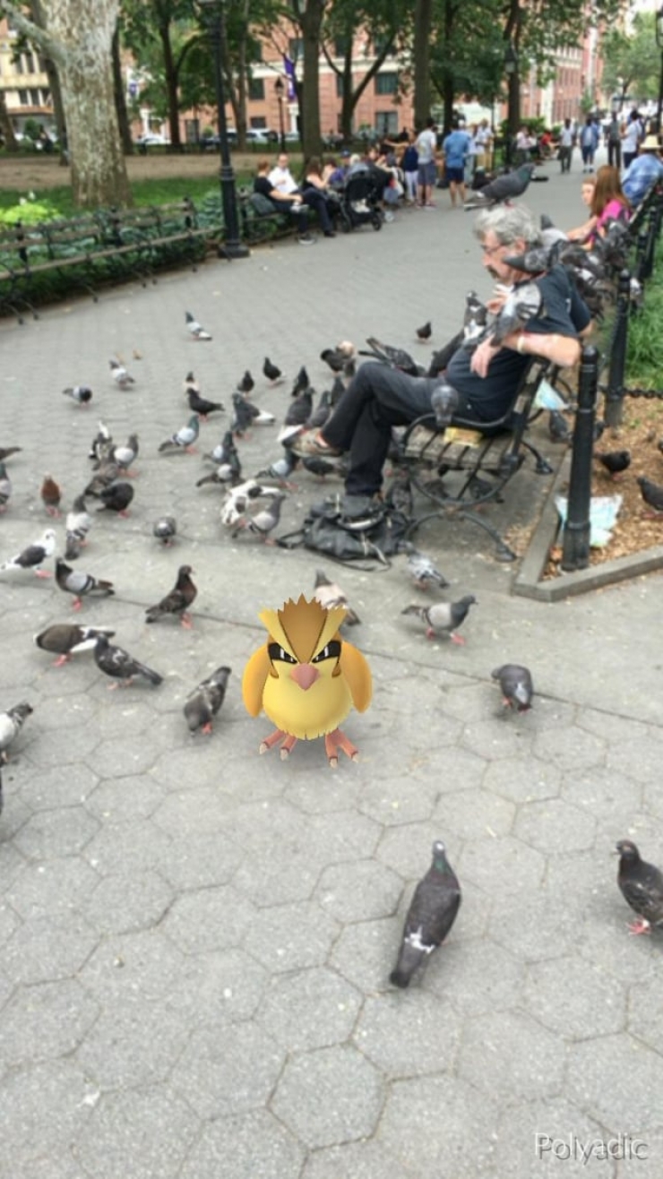 Illustration de l'article : Top 25 des captures d&rsquo;&eacute;cran de Pok&eacute;mon Go capt&eacute;es au meilleur moment ! 