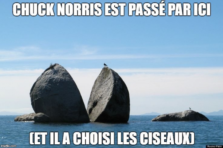 Illustration de l'article : Top 15 des meilleures punchlines de notre maître à tous...Chuck Norris !