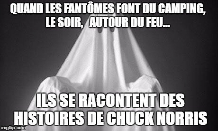 Illustration de l'article : Top 15 des meilleures punchlines de notre maître à tous...Chuck Norris !