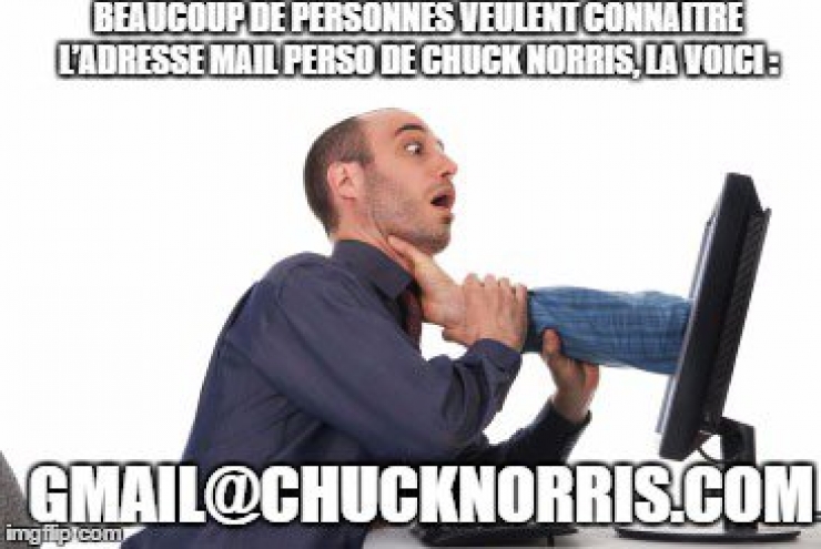 Illustration de l'article : Top 15 des meilleures punchlines de notre maître à tous...Chuck Norris !
