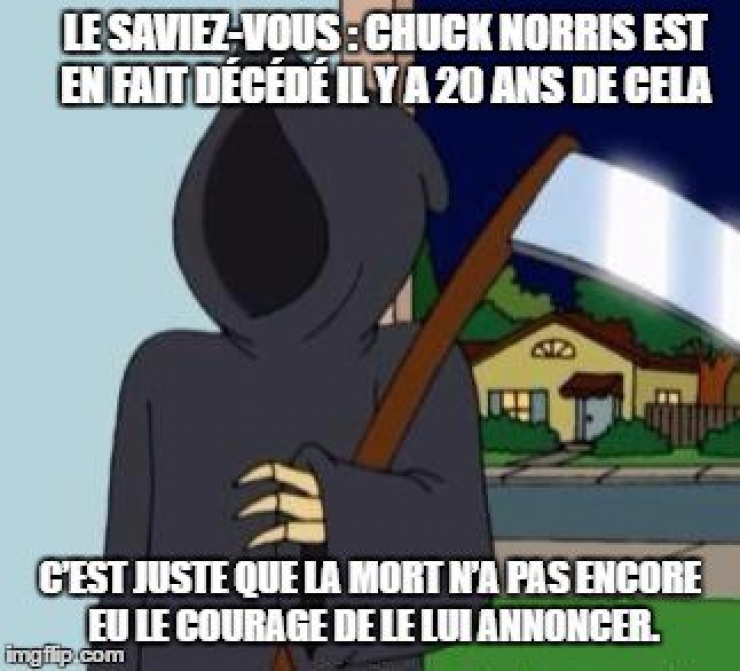 Illustration de l'article : Top 15 des meilleures punchlines de notre maître à tous...Chuck Norris !