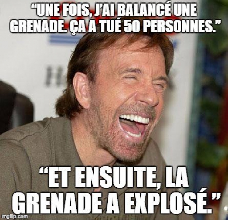 Illustration de l'article : Top 15 des meilleures punchlines de notre maître à tous...Chuck Norris !
