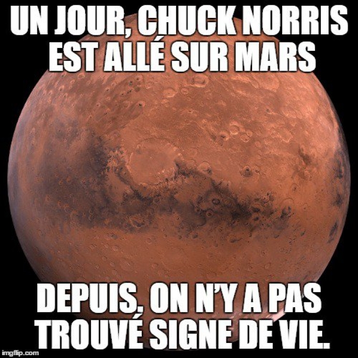 Illustration de l'article : Top 15 des meilleures punchlines de notre maître à tous...Chuck Norris !