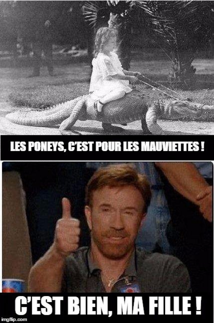 Illustration de l'article : Top 15 des meilleures punchlines de notre maître à tous...Chuck Norris !
