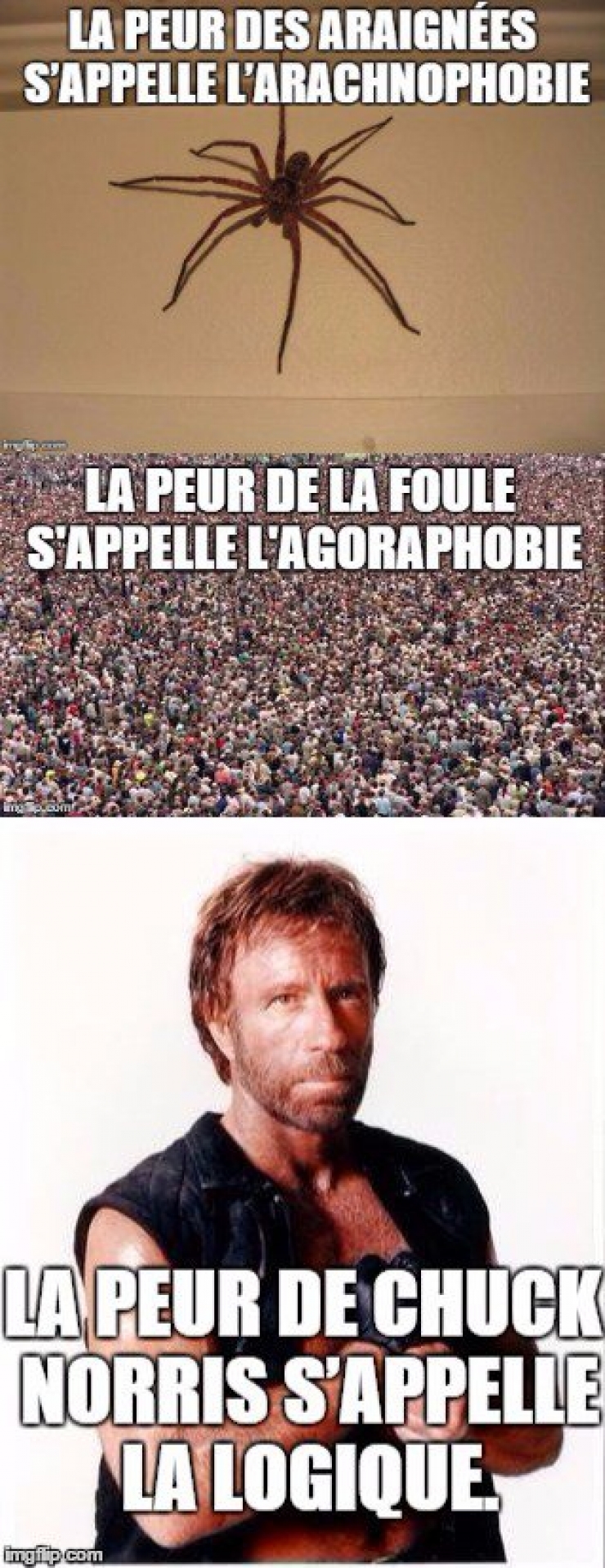 Illustration de l'article : Top 15 des meilleures punchlines de notre maître à tous...Chuck Norris !