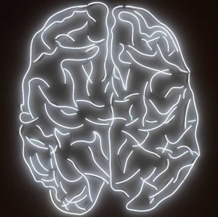 Illustration de l'article : Ne jetez surtout pas vos graines de past&egrave;que ! En les faisant bouillir elle peuvent vous &ecirc;tre tr&egrave;s utiles !