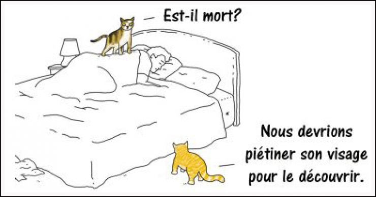 Illustration de l'article : 15 illustrations qui inversent les r&ocirc;les pour nous sensibiliser sur l'approche qu'on a envers les animaux...