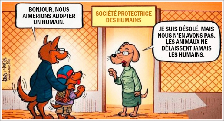 Illustration de l'article : 15 illustrations qui inversent les r&ocirc;les pour nous sensibiliser sur l'approche qu'on a envers les animaux...